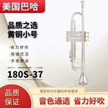 American Baha Trumpet Musical Instrument Drop LT180S-37 B LT180S-37 Applicable To Preliminary Exam-Level Playing Band Getting Started Advanced