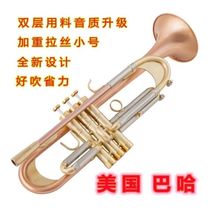 Trumpet instrument in B flat heavy-duty silver-plated brushed trumpet for beginners band examination performance level