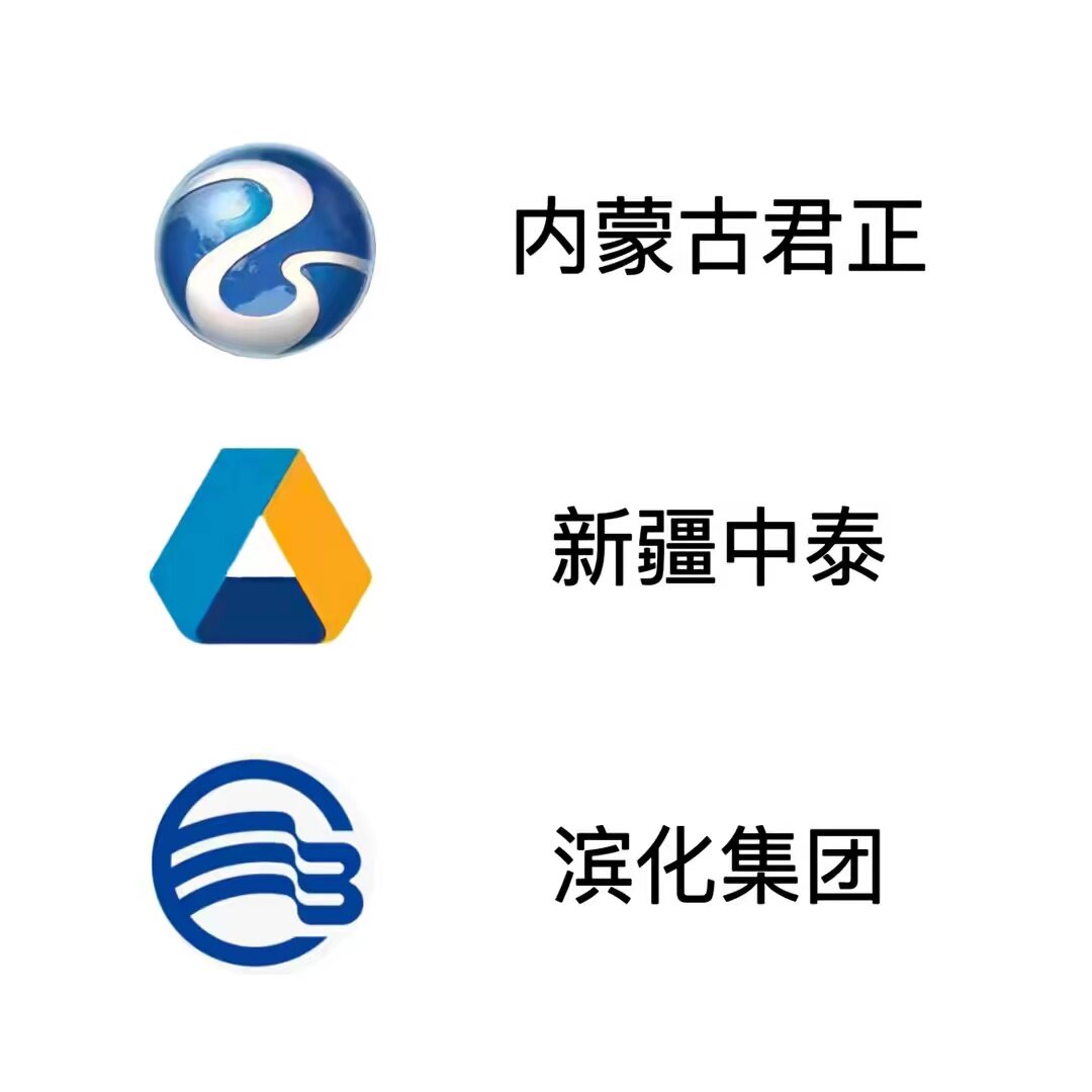 国标中泰碱业的LOGO