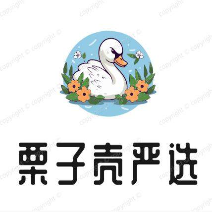 栗子壳抖音严选店