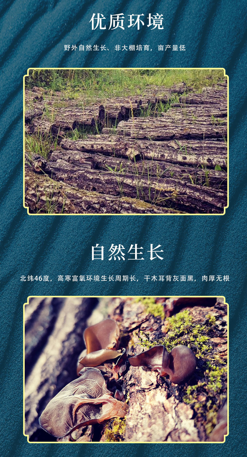 Гриб детали_03.jpg