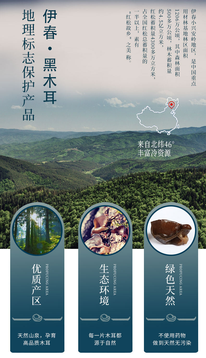 Гриб детали_02.jpg