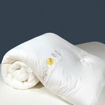 Winter soybean fiber quilts quilt core thickened warm winter quilted by students dormitories Spring and autumn quilted by summer