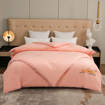 Fantastic soy fiber mother is thickened by two in one zipper winter double single double spring and autumn by students four seasons