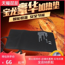 Reptile pet heating pad reptile pet snake horned frog insulation pad turtle heating carpet gecko lizard heating pad waterproof
