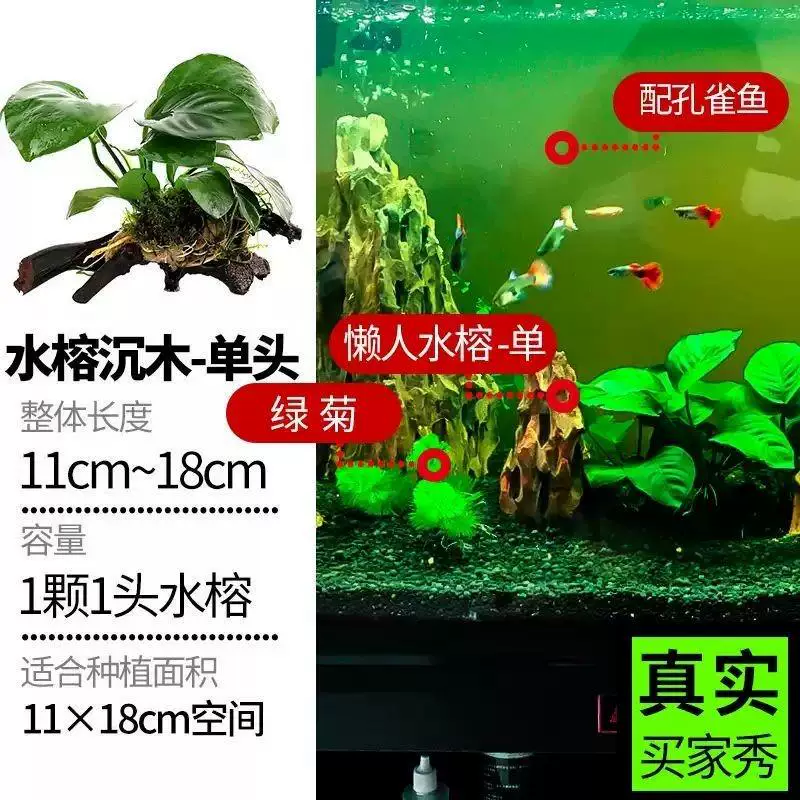 Aquarium decor, aquatic plants, full set