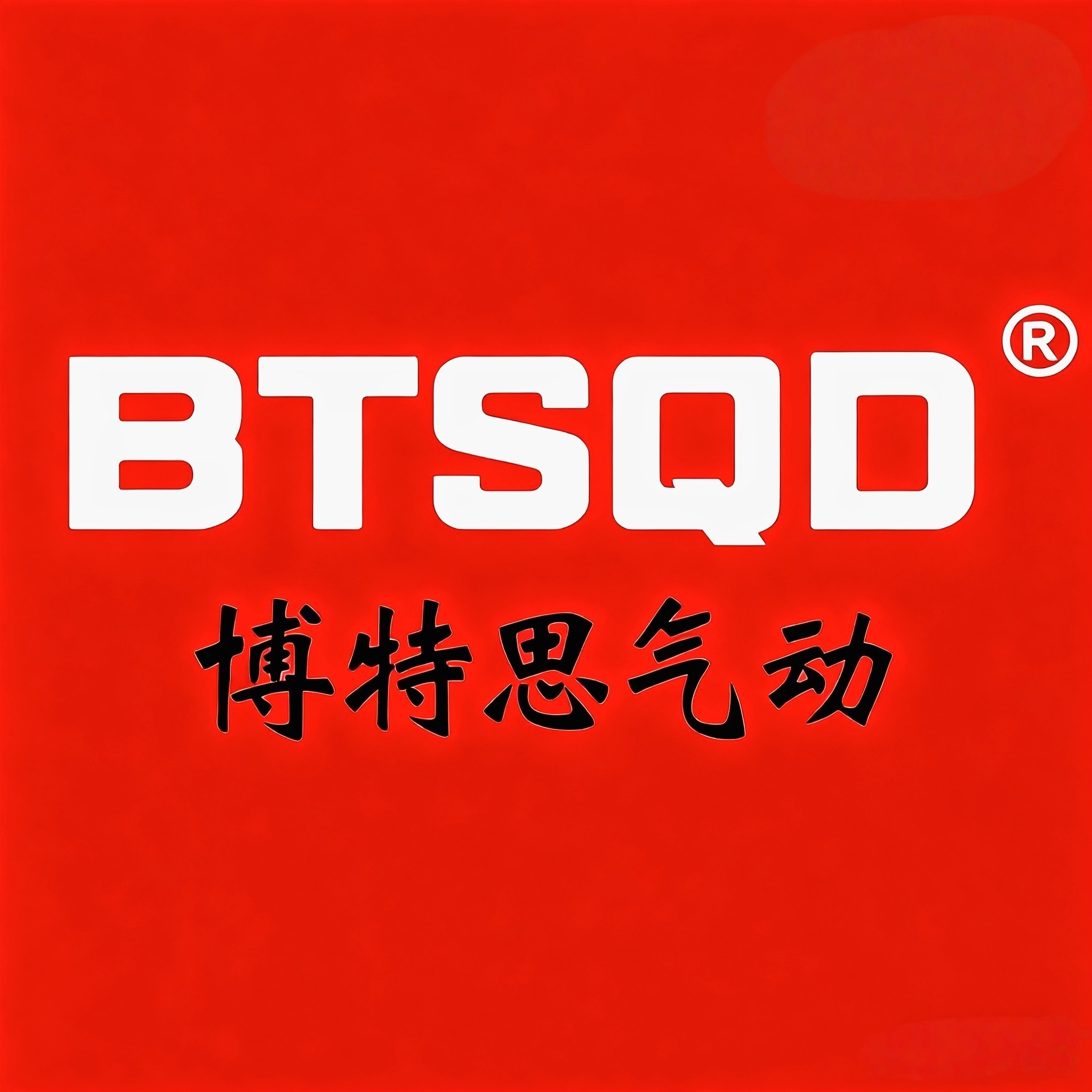 上海博特思气动元件印刷机配件的LOGO