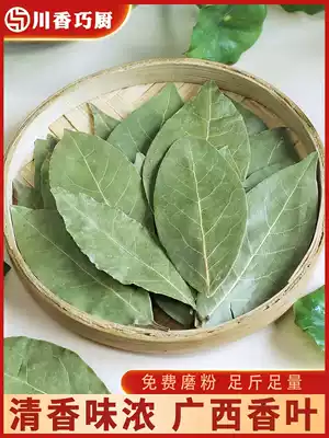 Guangxi fragrant leaf bay leaf farmers self-planted natural spices roasted stew marinated spices 50g