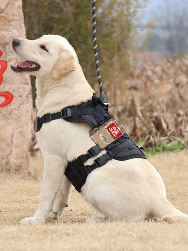 ДОБАВИНКА ДОБАВИТЬ Средняя Большая собака