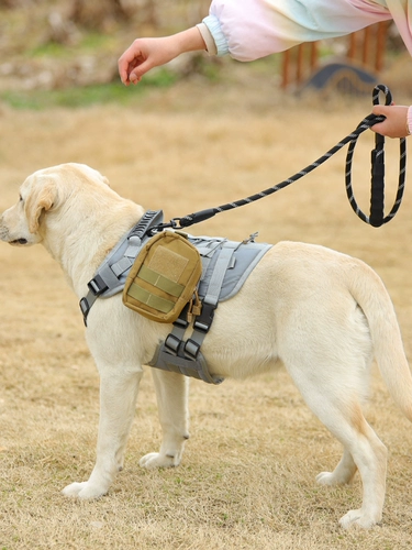 ДОБАВИНКА ДОБАВИТЬ Средняя Большая собака