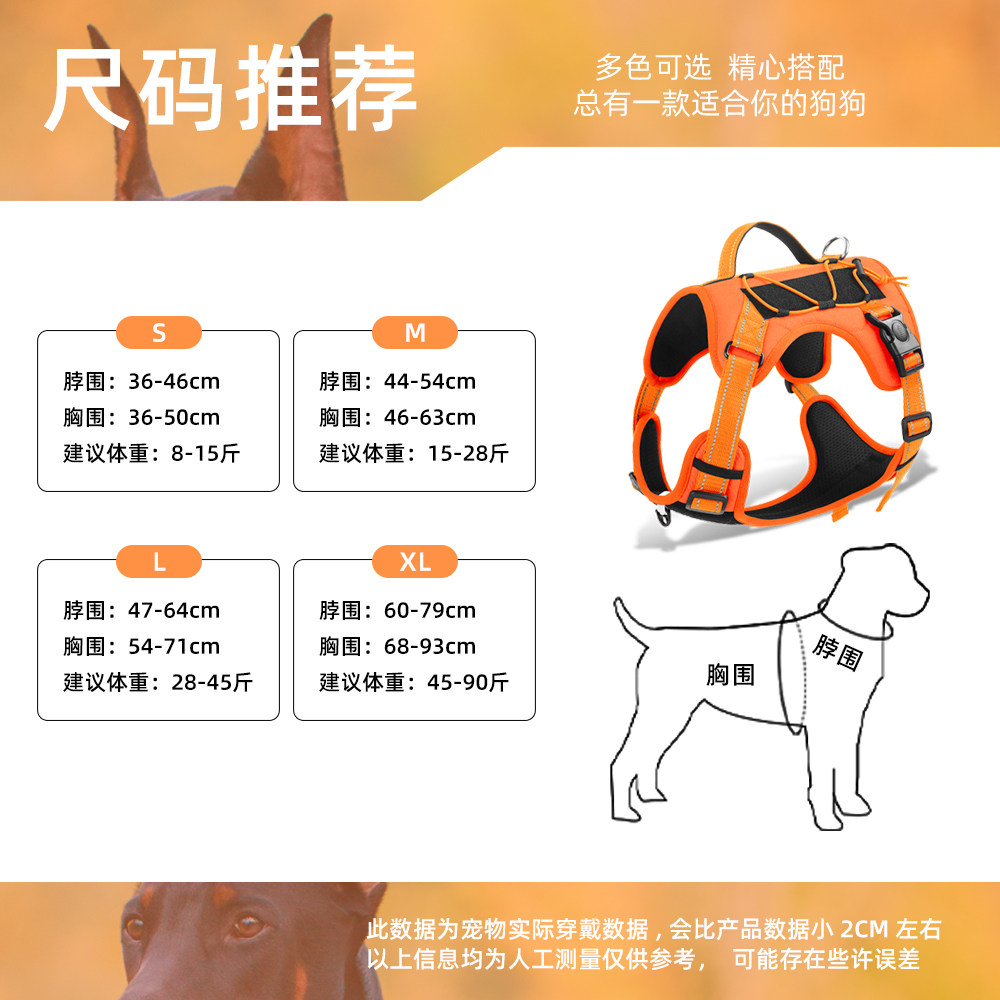 新手養狗一定要知道的事： 掌握1 原則，狗狗睡好，煩惱自然少！｜犬研室| 犬研室The Doggy Lab, image size:1000x1000