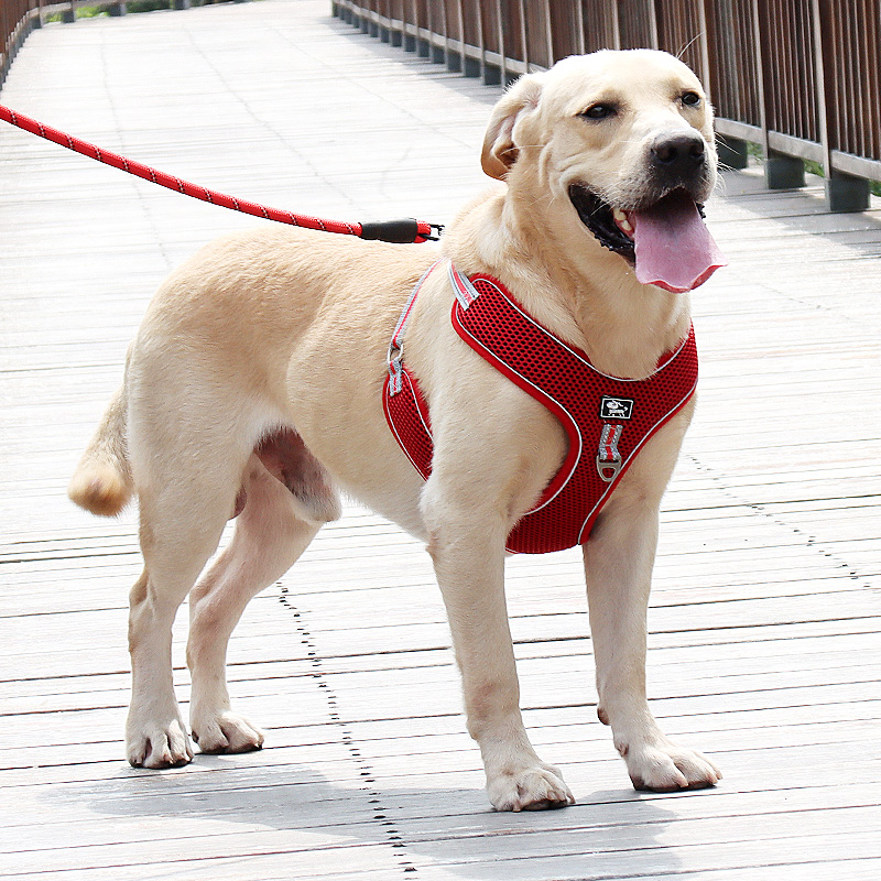 Dog traction rope vest type large dog chest holding baby bag golden retriever Labrador dog chain medium dog walking dog rope