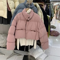 bluepops Korean version of the new winter loose all-match stand collar short white duck down jacket warm jacket womens fashion