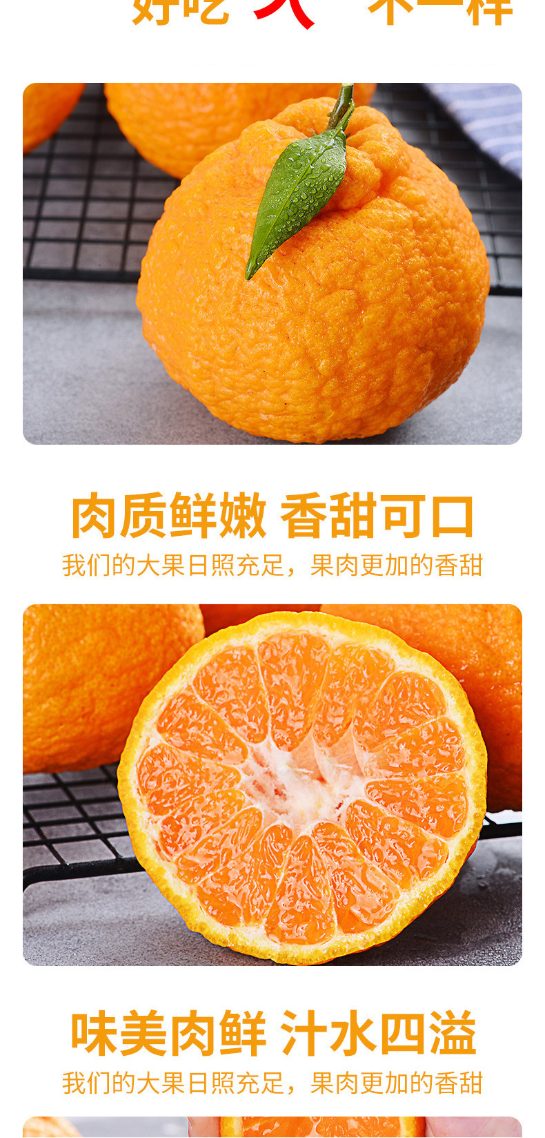 长河源 不知火丑橘 净重8斤 图3