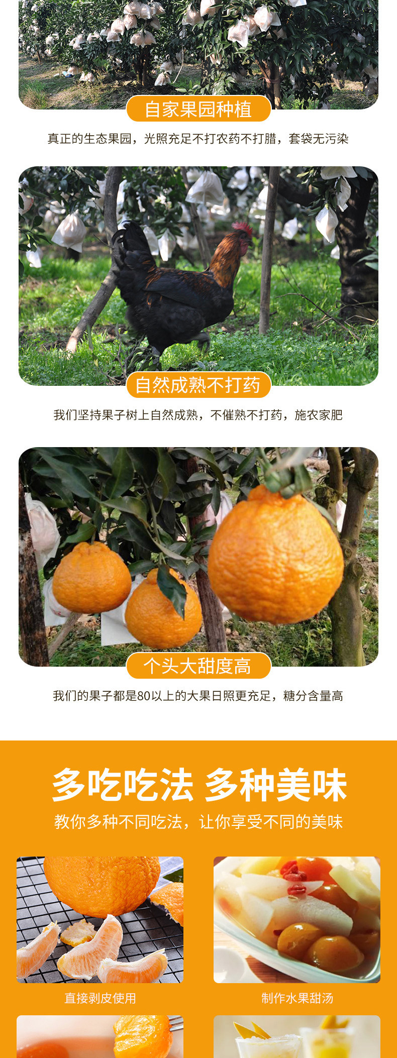 长河源 不知火丑橘 净重8斤 图5