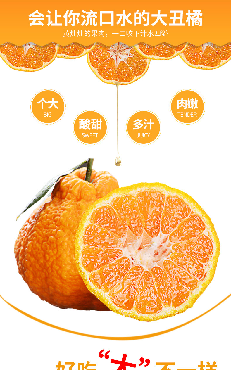 长河源 不知火丑橘 净重8斤 图2
