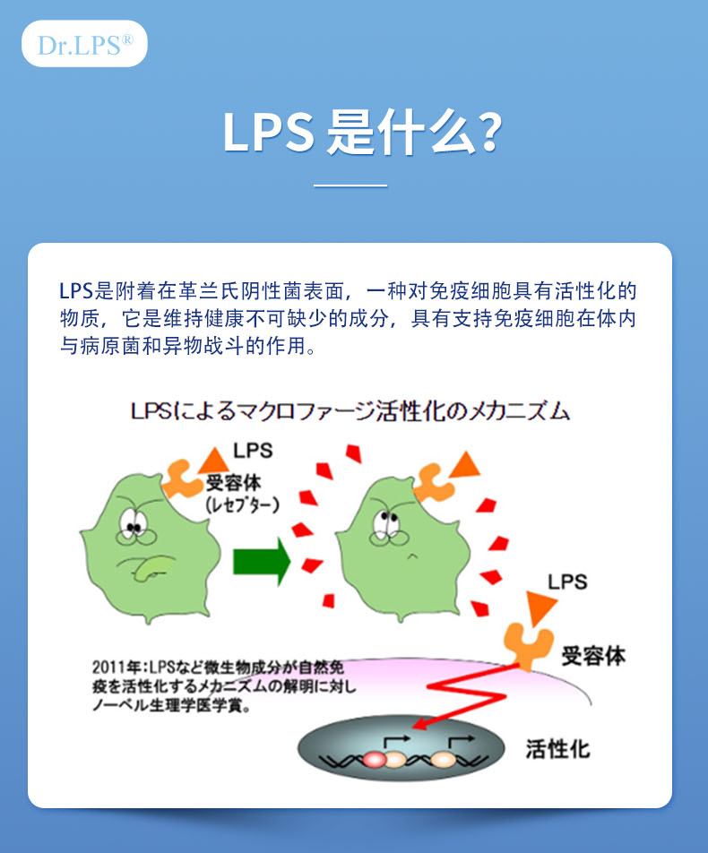 drlps日本进口益生菌软胶丸