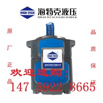 Haitek Vane Pumps Duplex Pump PVL12-25-33-F-1R-DR-10 PV2R2-41-F-1R-U-10