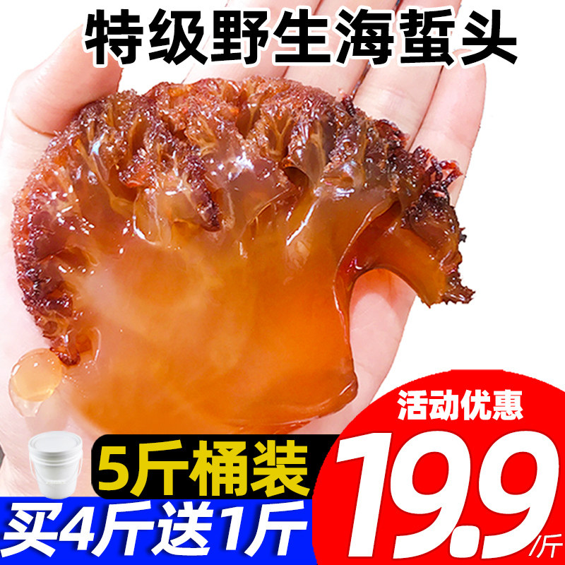 Buy 4 Jin send 1 Jin authentic Super jellyfish head bucket fresh cold wild Zhoushan Ningbo specialty commercial wholesale