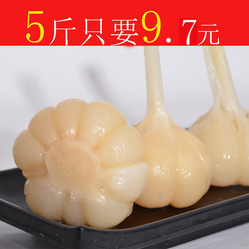 Sugar vinegar garlic head 5 catties cured Shandong garlic head sweet garlic sugar garlic garlic sugar vinegar garlic 