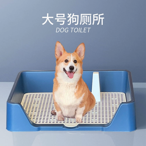 Corgi поставляет собаку собака собака собака туалетная туалетная анти -шага гонг -гонг -гонг -бассейн моча маленький маленький бассейн песочного бассейна inu di di