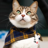 Дышащий шарф, регулируемый слюнявчик, чокер