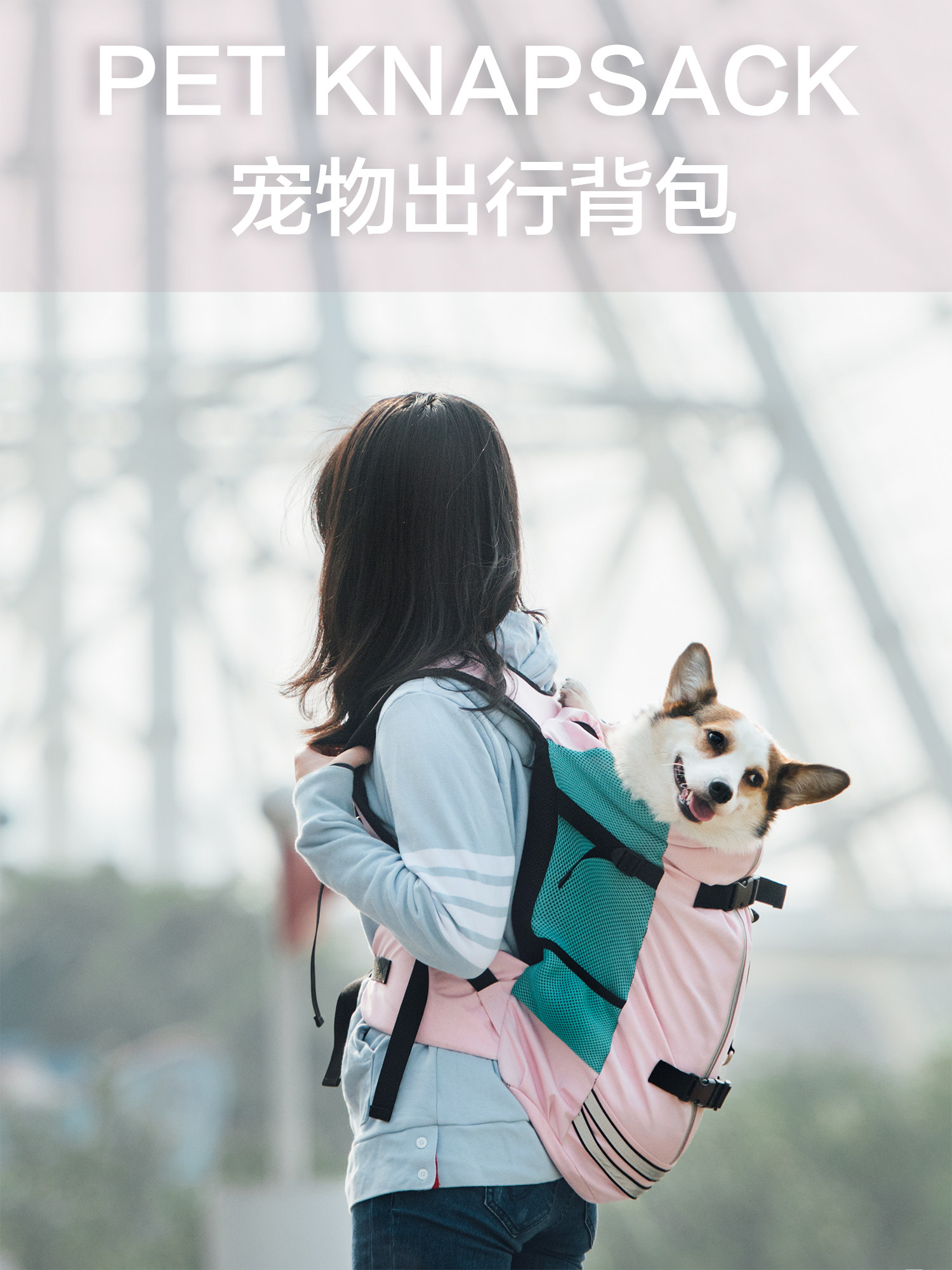 Short-legged captain pet out portable backpack Cycling Walking dog Back dog bag Corgi Shiba Inu Shoulder bag Medium and large dog