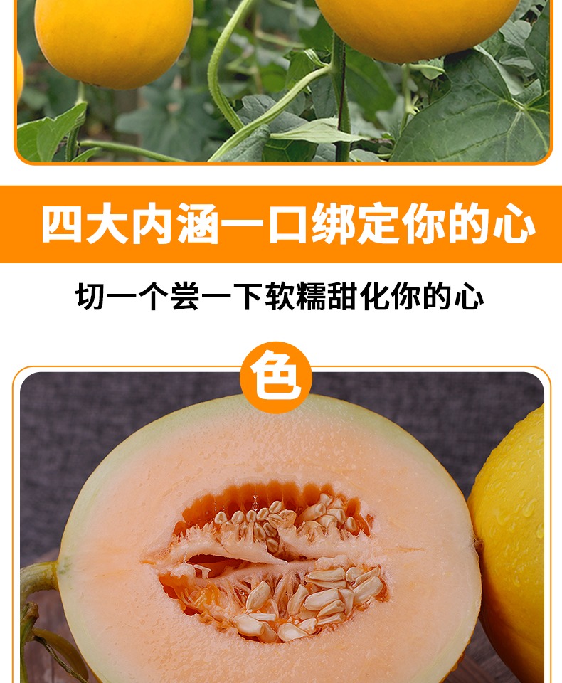 【华北强】黄河蜜瓜甜瓜当季新鲜水果3斤
