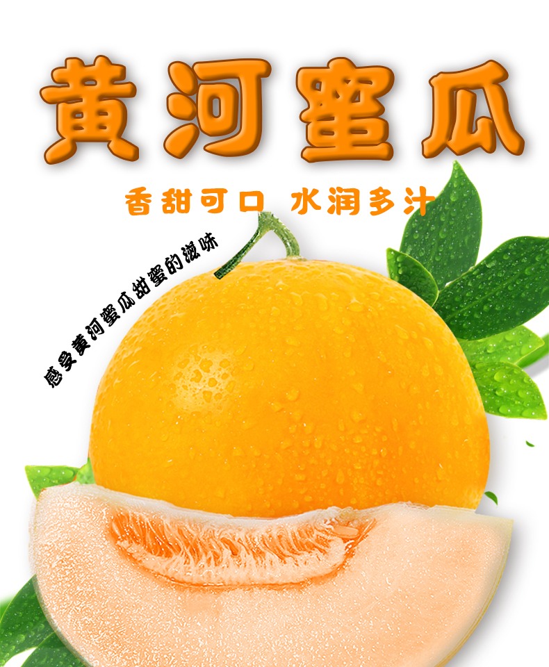 【华北强】黄河蜜瓜甜瓜当季新鲜水果3斤
