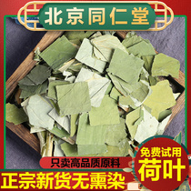 Tong Ren Tang Natural Lotus Leaf Tea 500g Wild Weishan Lake Dried Lotus Leaves for Tea Lotus Leaves Dried Lotus Leaves for Water