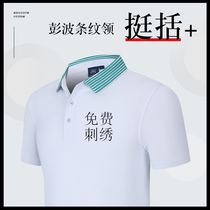 Polo shirt Work clothes custom T-shirt Cultural advertising shirt embroidery lapel word graphic work clothes printed logo company high-end