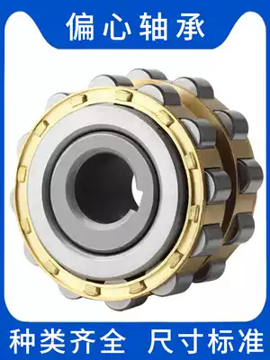 rn206m eccentric bearing sleeve cycloid pin wheel reducer wheel rn307 swing rn309 Cam rn205 with shaft