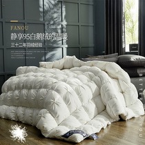 Duvet winter quilt thickened white goose down double winter cotton warm hotel special bedding quilt quilt core