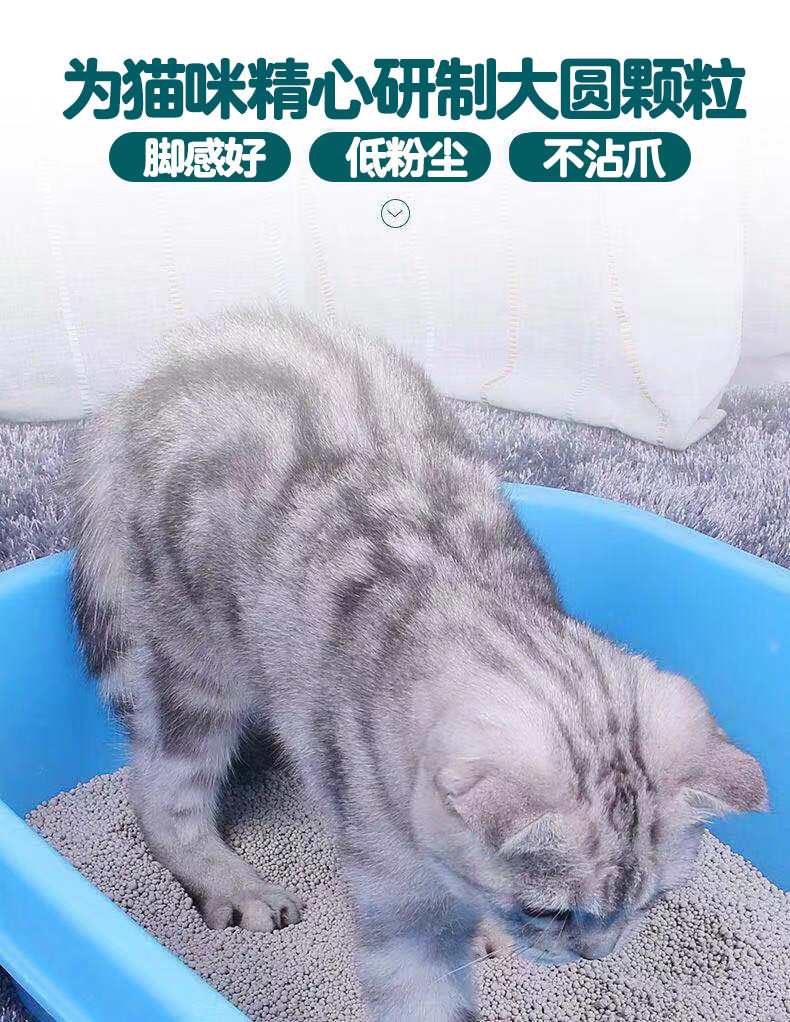 猫砂大颗粒猫砂包邮膨润土猫砂结团除臭低尘