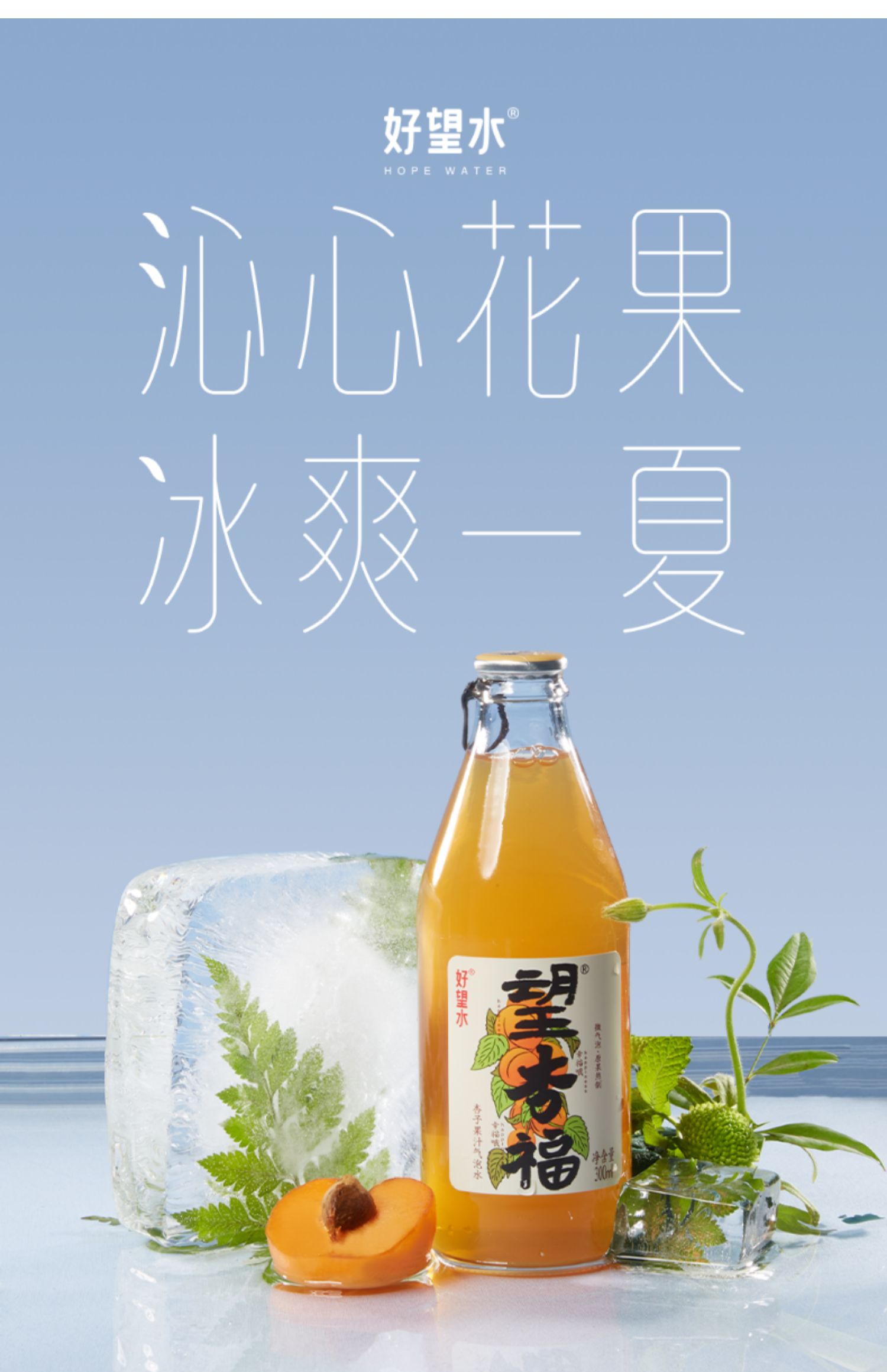 好望水杏子果汁气泡水300ml*6瓶