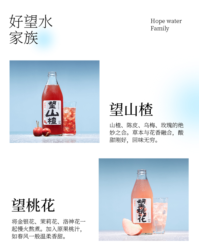 好望水气泡水饮料果汁饮品300ml*6