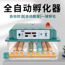 Egg hatcher Incubator Household automatic hatching machine Small intelligent hatching box Chicken duck hatching machine