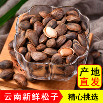 (Yunnan fresh pine nuts) Yunnan 2023 fresh thin-skinned raw pine nuts in cloth bag 500g