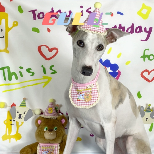 Ретро комплект, слюнявчик, нагрудник, шапка, подарок на день рождения, с медвежатами, наряжаться