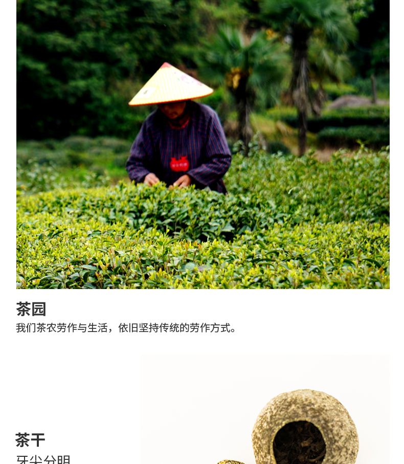 山川饮 新会小青柑+云南宫廷普洱茶 250g礼盒装 约30颗 图6