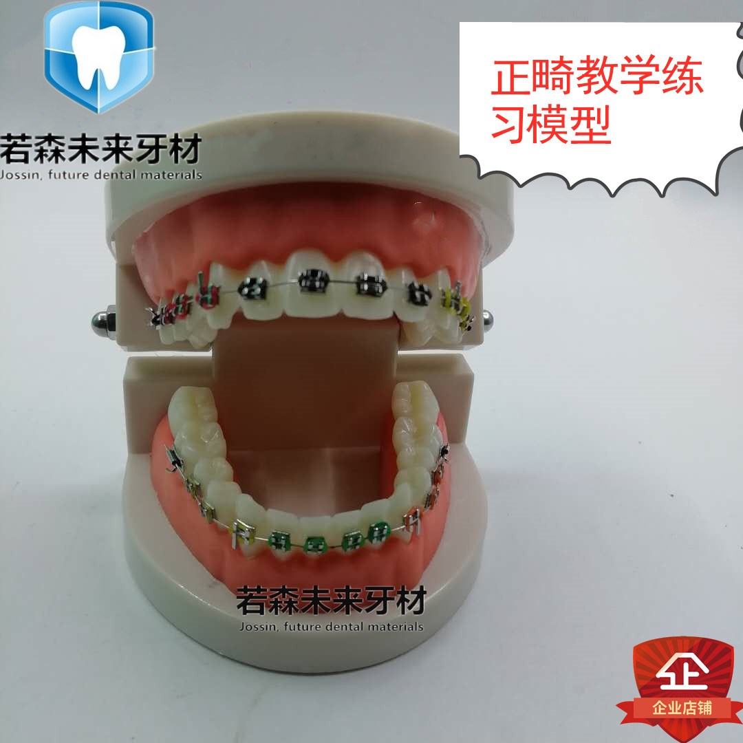 牙科口腔正畸带托槽假牙模型 医患沟通教学模型 矫正练习模型