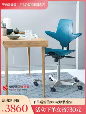 HAG Waist protection Computer chair Office chair Boss chair Chair backrest Ergonomic chair Home seat Riding chair