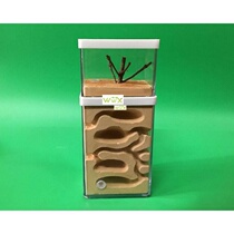 Large Plaster Ant Farm Natural Ecological Big Ant Nest