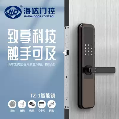 Haida automatic smart fingerprint lock TZ-1 home entry anti-theft credit card electronic magnetic card remote smart door lock