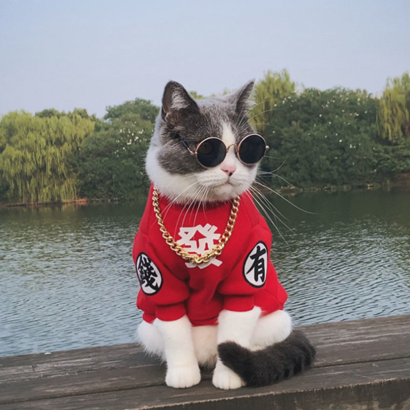 Blue cat new year clothes autumn and winter 2021 pet new year sweater beautiful short silver gradient kitten cat male cat female cat