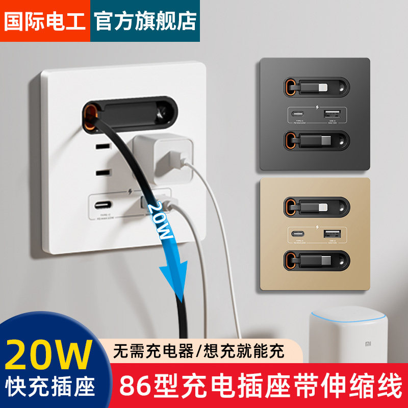 国际电工20W快充USB插座开关面板86型手机充电Type-c家用带伸缩线