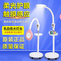Beauty mascara special light eye LED beauty mascara special light portable beauty salon textured embroidered lamp medecor lighting floor lamp