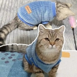 Зимний свитер, удерживающий тепло жилет, демисезонный шнурок-держатель