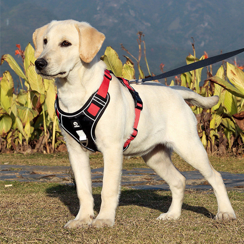 Dog traction rope walking dog rope Labrador Vest Type Reflective Chest baby bag explosion-proof Large dog pet Supplies