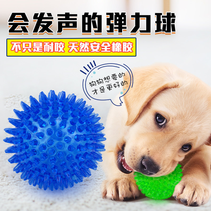 Elastic soft ball dog rubber sound molar thorn ball small, medium and large dog VIP Teddy Golden Retriever pet toy